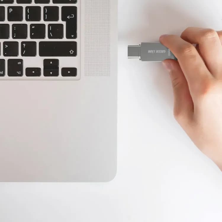 Green Lion USB Flash Drive - 256GB USB-C/USB-A, Silver 2