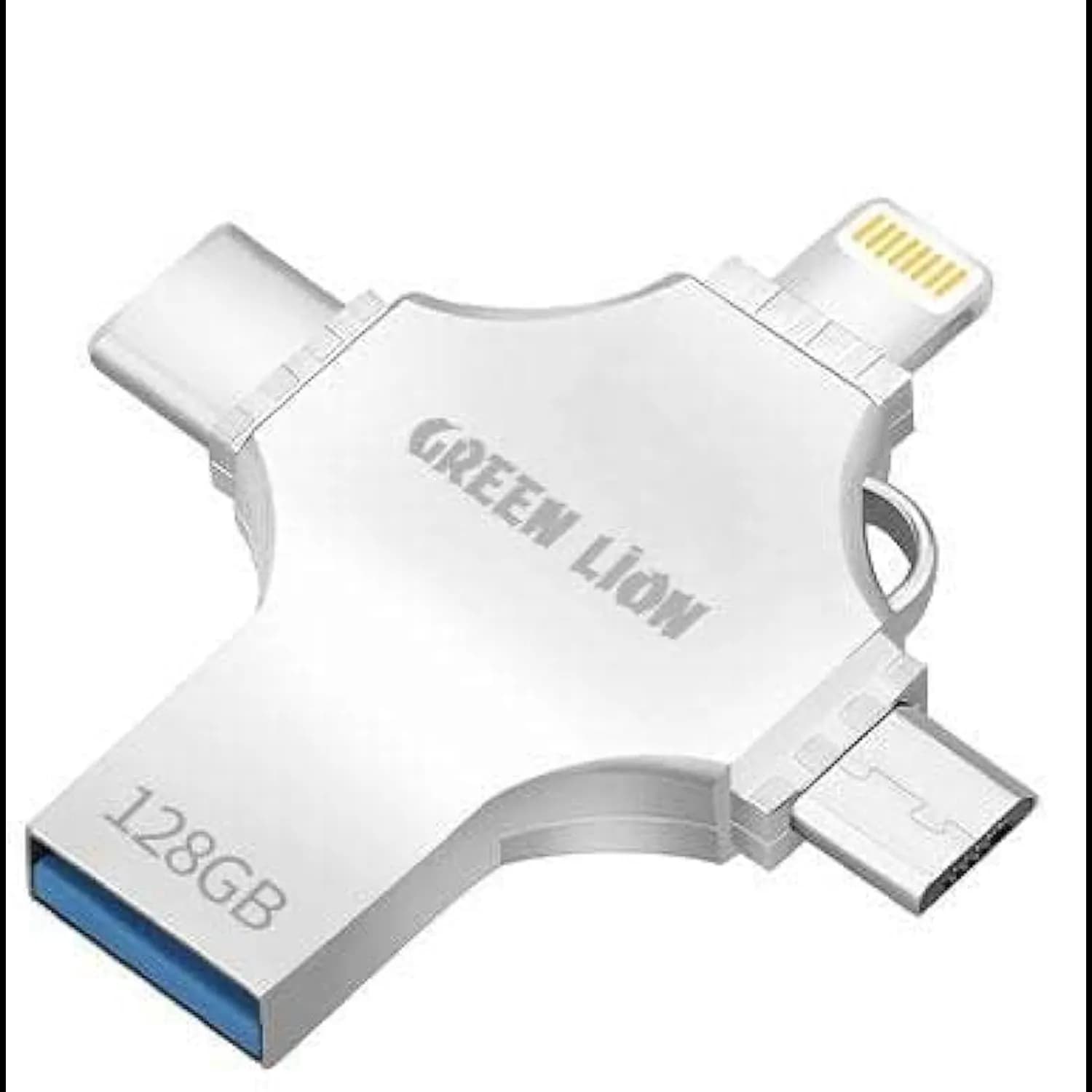 Green Lion USB Flash Drive - 64GB, Silver 1 Green Lion USB Flash Drive - 64GB, Silver 1