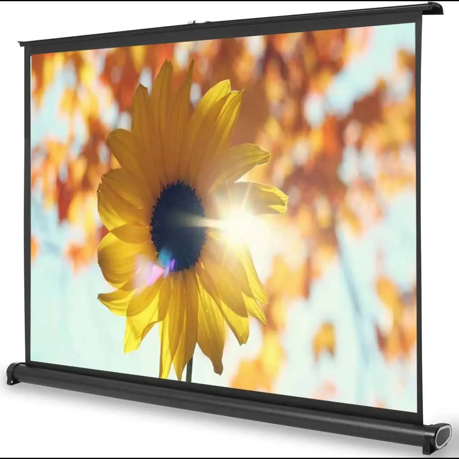 Green Lion Projection Screen - 50", 4:3 Matte White 2