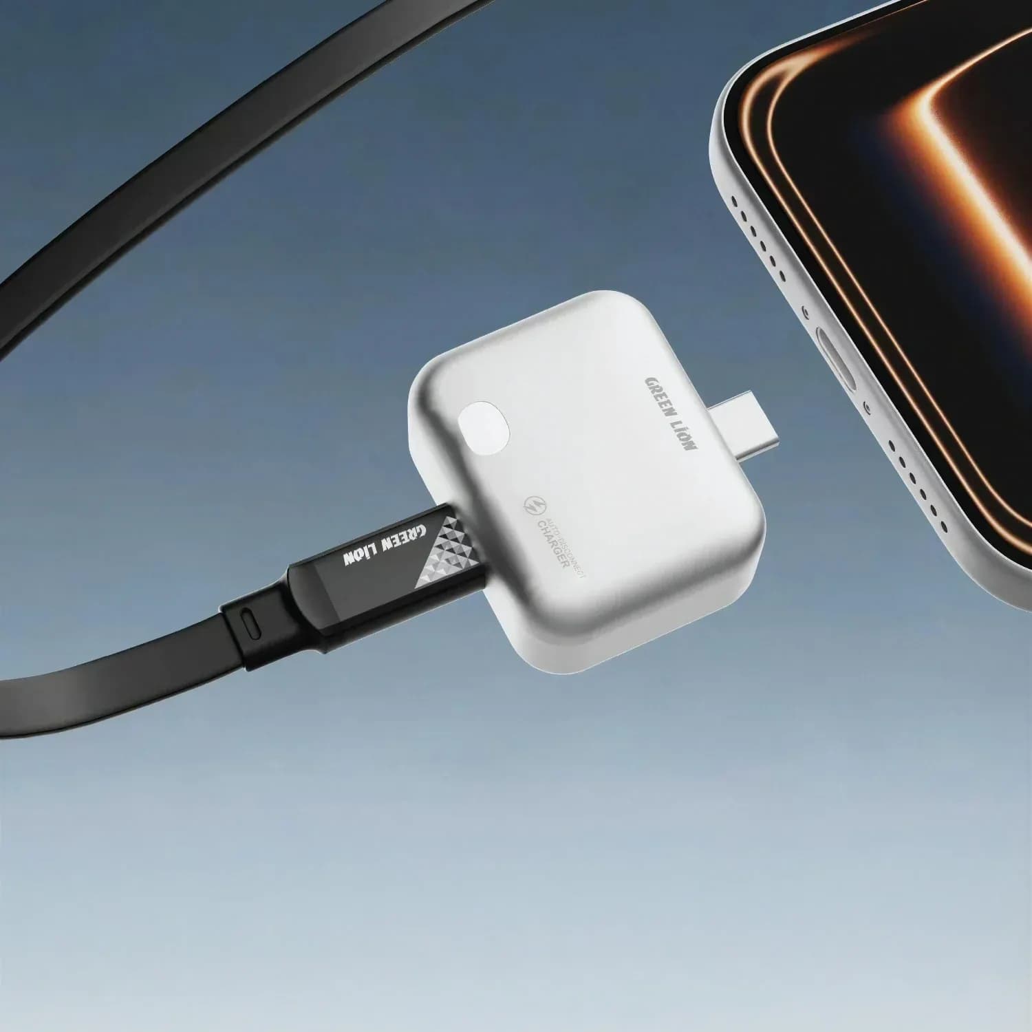 Green Lion Smart Auto-Disconnect Charger - Gray 2