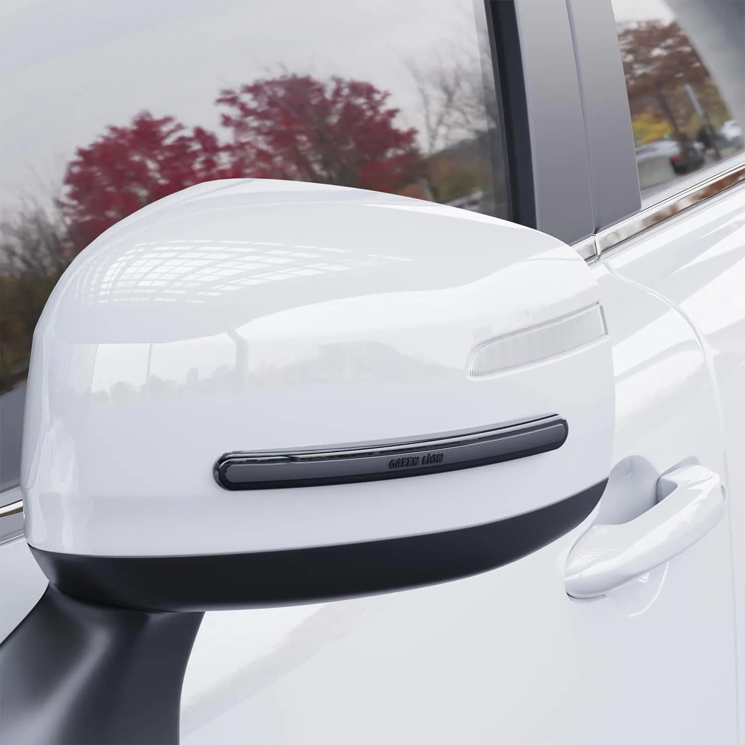Green Lion Car Door Guard GNCRDRGRD4P - 4 Strips, Self-Adhesive, Black 2