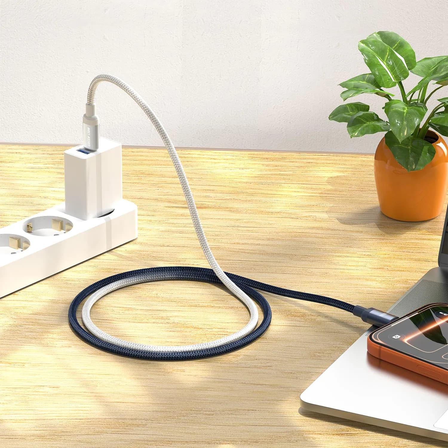 Green Lion USB-C Cable - 100W Fast Charging, Blue — Black 3