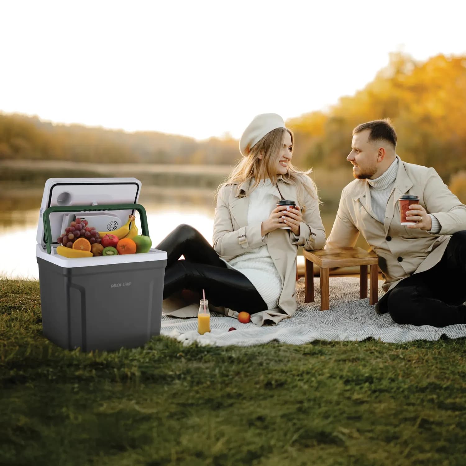 Green Lion Portable Fridge - 25L Dual Mode, Black 2