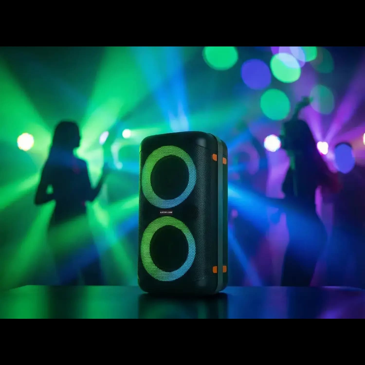 Green Lion Speaker Party Life 600 - Black 5
