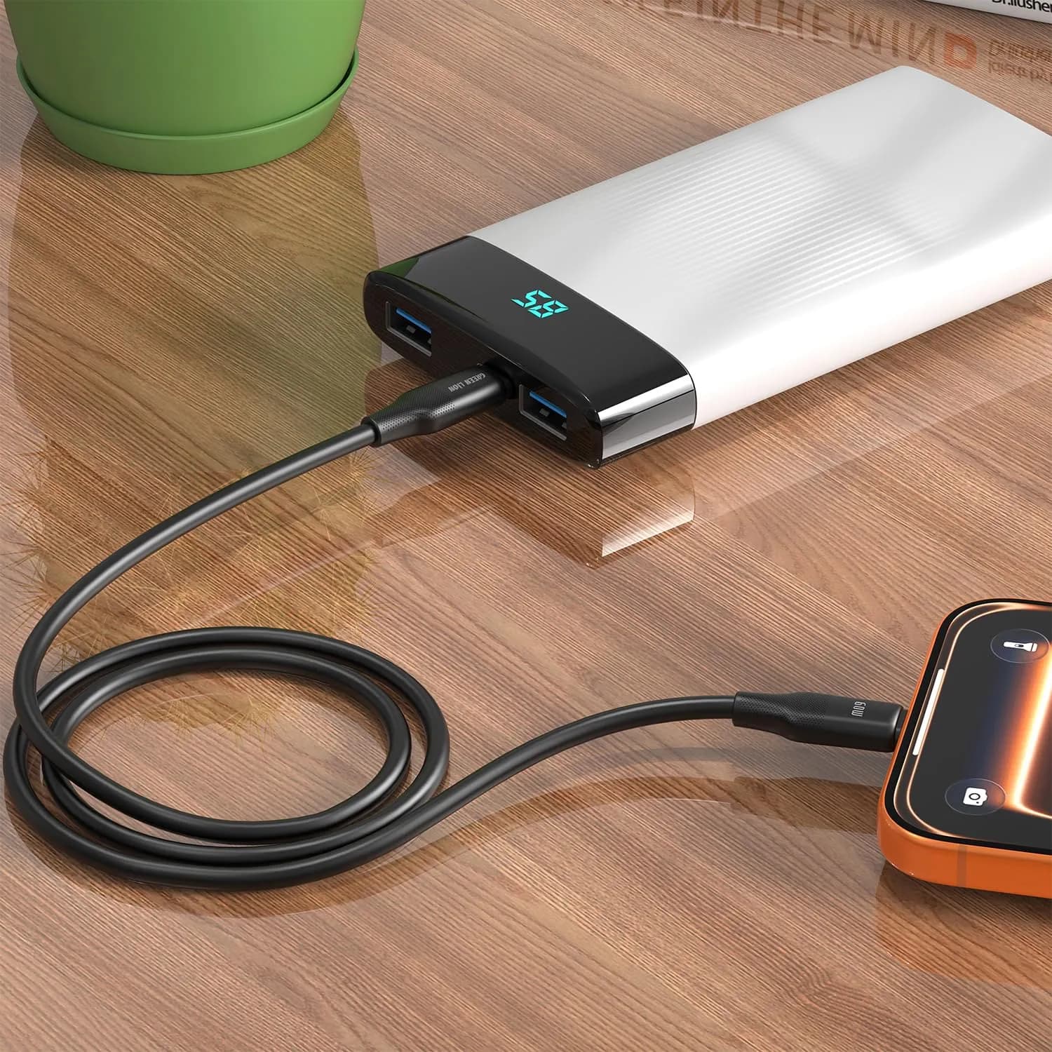 Green Lion USB-C Cable - 60W Fast Charging, Black — Black 2