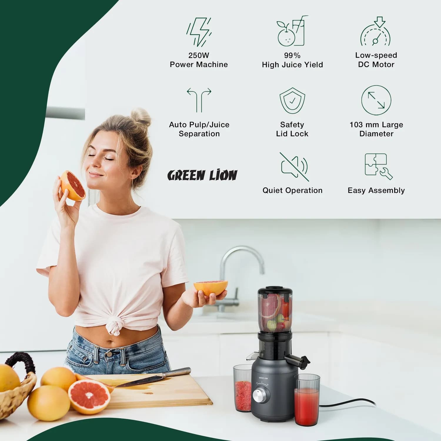 Green Lion Slow Juicer - 250W Copper Motor, Black 2