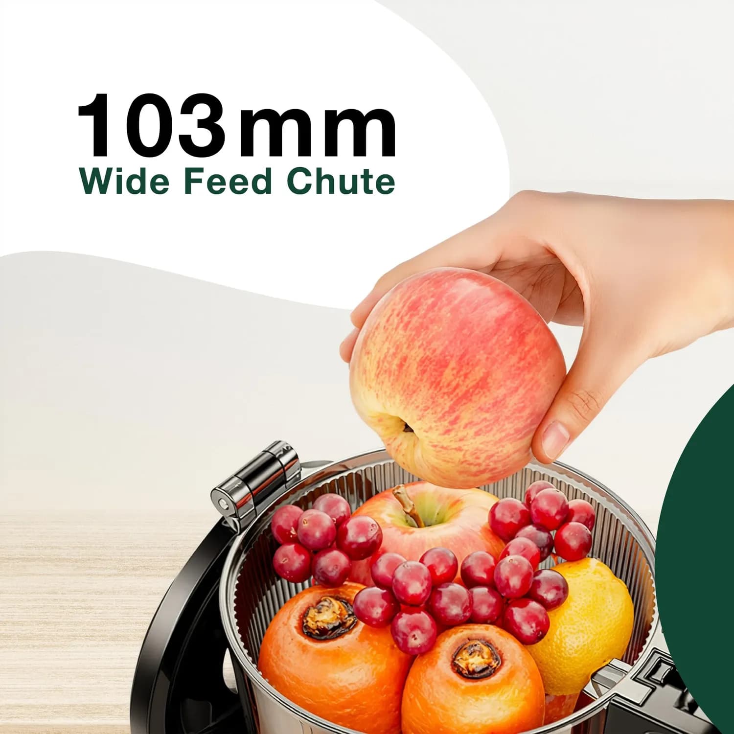 Green Lion Slow Juicer - 250W Copper Motor, Black 4