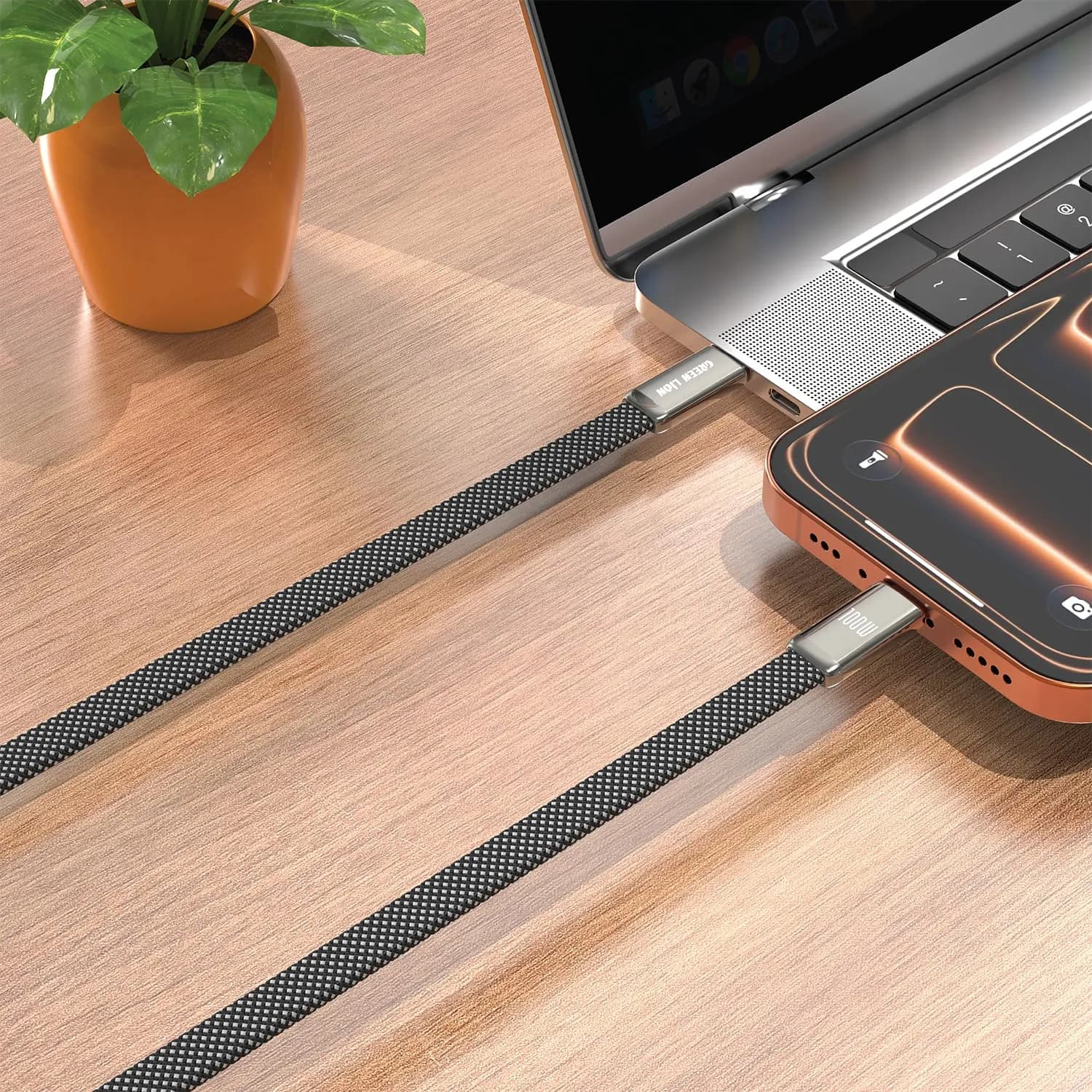 Green Lion USB-C Cable - 100W PD, 1M, Black — Silver 3