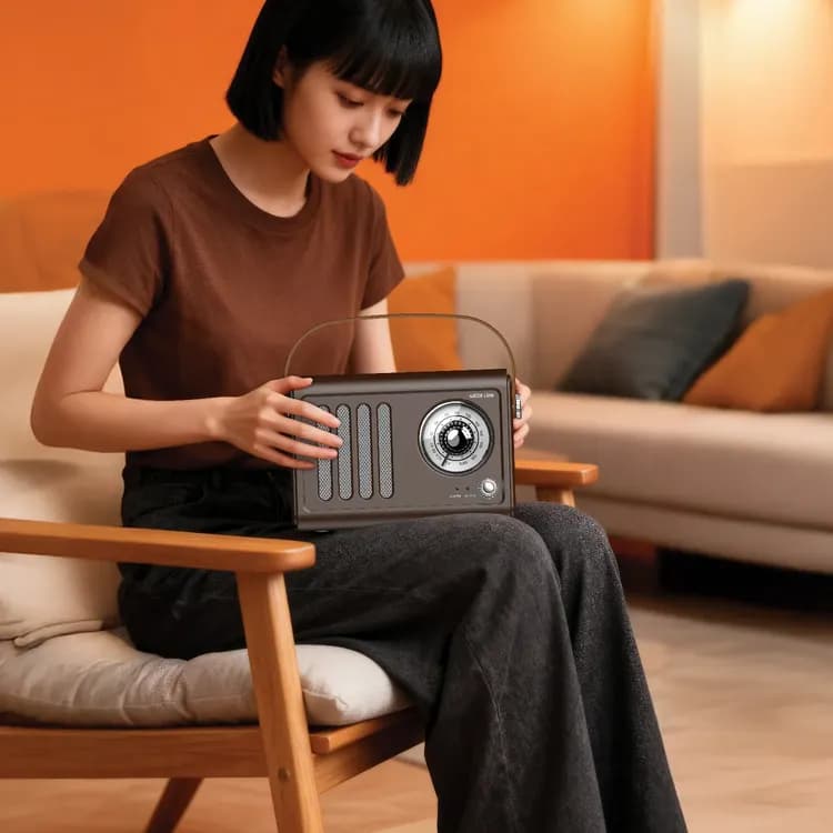 Green Lion Vintage Radio Speaker - Bluetooth 5.3, Brown 3