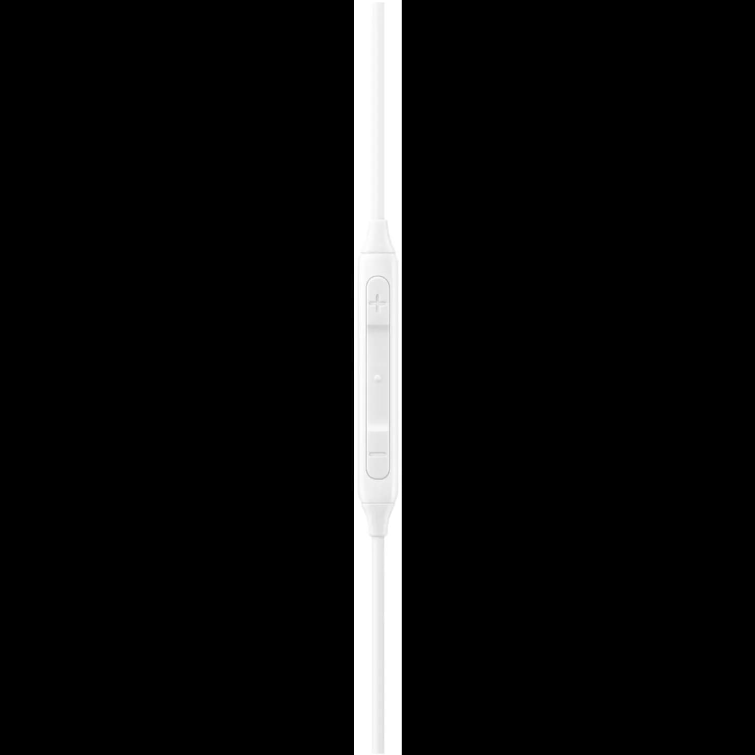 Samsung Wired Earphones EO-IC100 - Type C, White — White 4