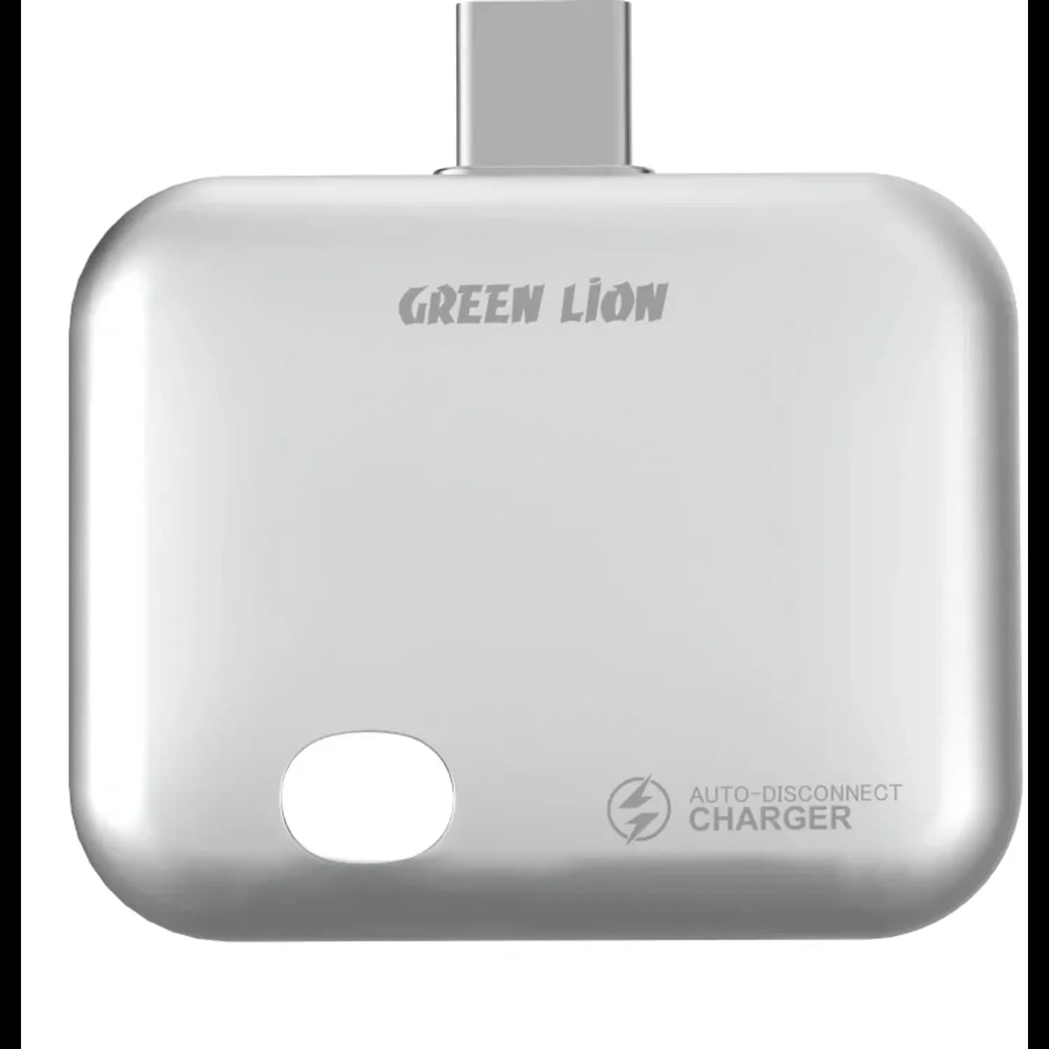 Green Lion Smart Auto-Disconnect Charger - Gray 1 Green Lion Smart Auto-Disconnect Charger - Gray 1
