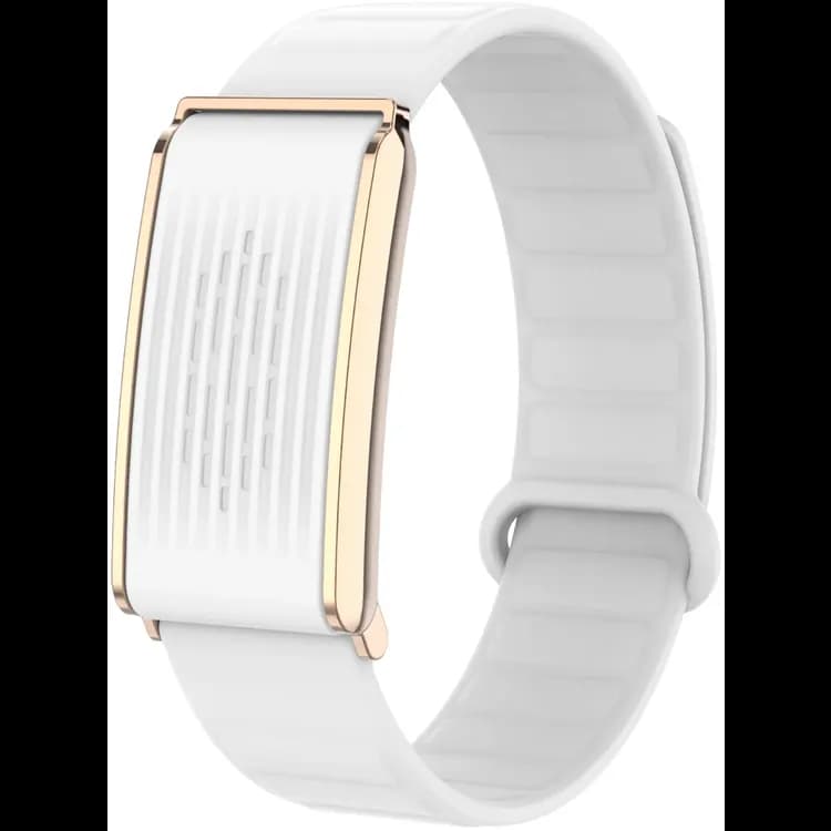 Porodo Fitband Trackfit X - Screenless Magnetic, Brown — White 1 Porodo Fitband Trackfit X - Screenless Magnetic, Brown — White 1